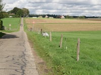 Klein Amerika via Sint Jansberg