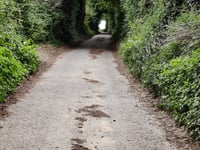 Kiezelingenbos da Genoelselderen