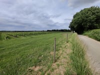 Kiezelingenbos da Genoelselderen