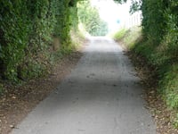 Kiezelingenbos da Genoelselderen