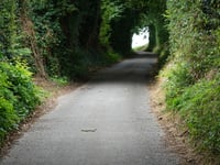 Kiezelingenbos da Genoelselderen