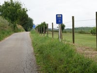 Kiezelingenbos da Genoelselderen