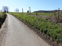 Côte du Bois de la Hees da Château de Graaf