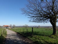 Côte du Bois de la Hees da Château de Graaf