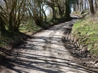 Côte du Bois de la Hees via Rue Vivier