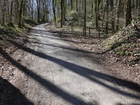 Côte du Bois de la Hees via Rue Vivier