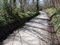 Côte du Bois de la Hees via Rue Vivier