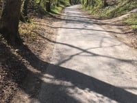 Côte du Bois de la Hees über Rue Vivier