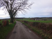 Côte du Bois de la Hees / Kinkenweg desde Montzen
