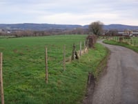 Côte du Bois de la Hees / Kinkenweg desde Montzen