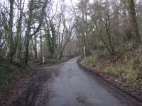 Côte du Bois de la Hees / Kinkenweg desde Montzen