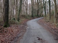 Côte du Bois de la Hees / Kinkenweg desde Montzen