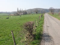 Côte du Bois de la Hees / Kinkenweg desde Montzen