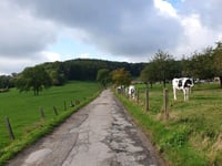 Côte du Bois de la Hees / Kinkenweg desde Montzen