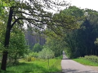 Kipdorp via Kleine Hees