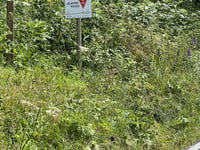Kitzbüheler Horn