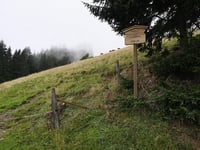 Kitzbüheler Horn