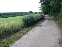 Kitzenhausweg von Hahn