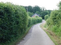 Kitzenhausweg von Hahn