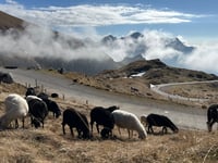 Klanška Škrbina / Mangartsko sedlo desde Predel Mangart