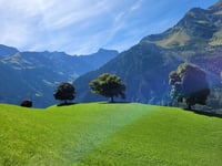 Klausenpass da Bürglen