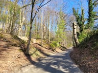 Kleekampsweg von Benzenrade