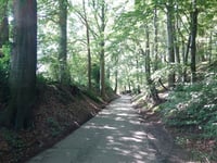 Kleekampsweg von Benzenrade