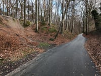 Kleekampsweg von Benzenrade