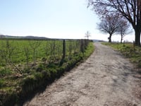 Klein Heugdeweg von Noorbeek