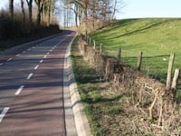 Klein Welsden von Musscheput