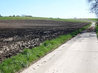 Klein-Wilder von Martenslinde
