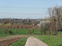 Klein-Wilder von Martenslinde