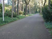 Klein Zwitserland von Kievitsdel