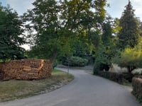 Kleine Grinde desde Büchelbach