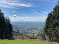 Kleine Grinde vanuit Ottersweier