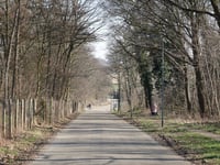 Kleine Heideweg von Terblijt