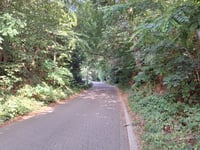 Kleine Rotstraat desde Sint-Bernard