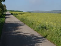 Kleinhau von Birgel über Gey