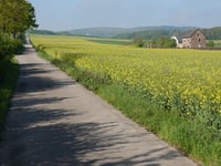 Kleinhau von Birgel über Gey