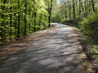 Kleinhau from Schevenhüttener Strasse