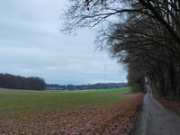 Klever Berg über Esperance
