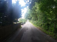 Sternberg