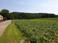 Kleverberg da Strabeek