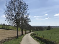 Klingeleberg über Schanternelsweg