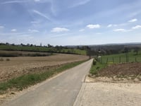 Klingeleberg über Schanternelsweg