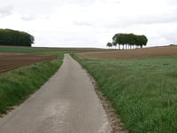 Klingeleberg über Katzerweg