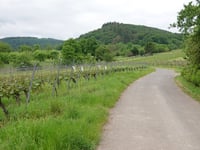 Klosterbergstrasse da Wolf