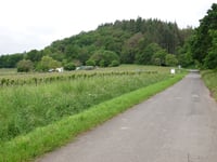 Klosterbergstrasse da Wolf
