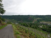 Klosterbergstrasse da Wolf