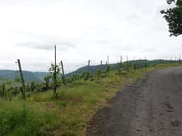 Klosterbergstrasse da Wolf